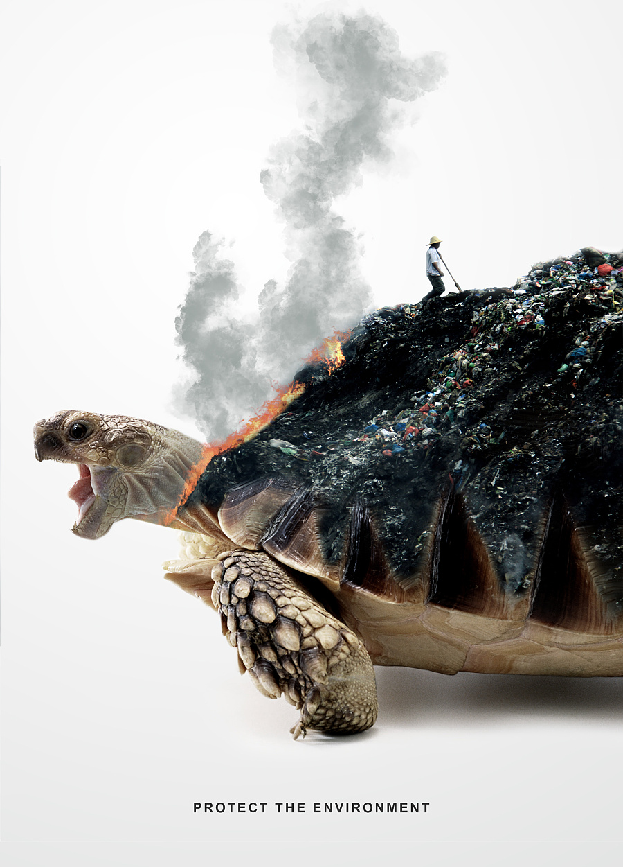 用藝術(shù)點亮動物保護 胡子韓原創(chuàng)文藝海報設(shè)計